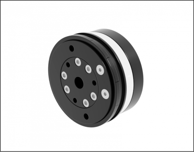 Deserti Backlash Free Torque Limiter SGR Series